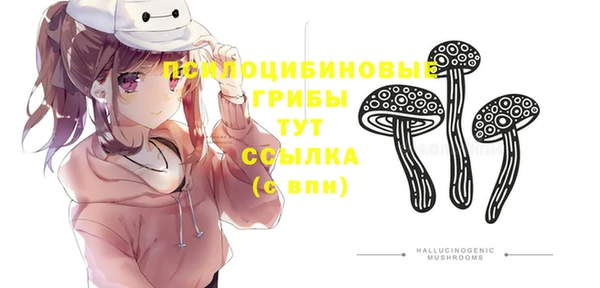 хмурый Зеленокумск
